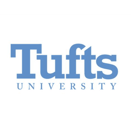 Tufts Dean of Engineering